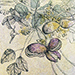 Shinji Ando Gallery